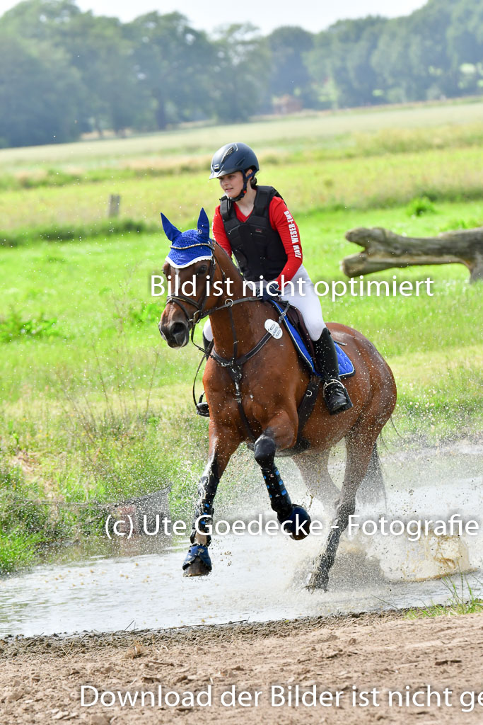Goldene Schärpe PFerde  in Löningen  11+12.6.22 | 11062022 - Gelände 962 Abt 