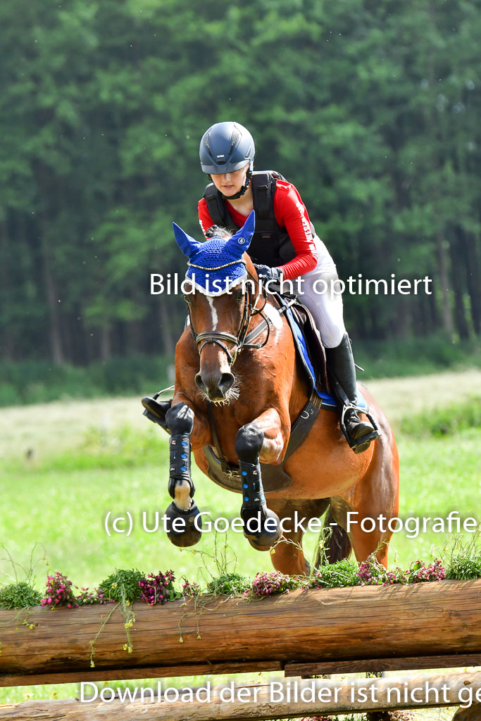 Goldene Schärpe PFerde  in Löningen  11+12.6.22 | 11062022 - Gelände 965 Abt 