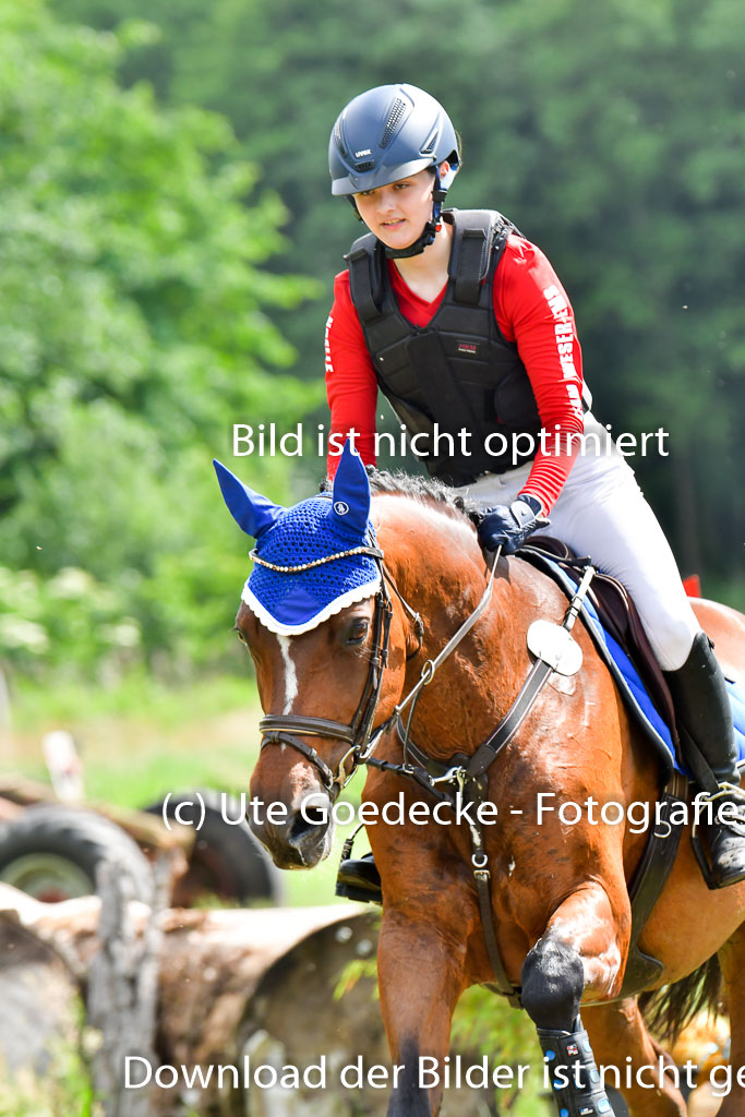 Goldene Schärpe PFerde  in Löningen  11+12.6.22 | 11062022 - Gelände 967 Abt