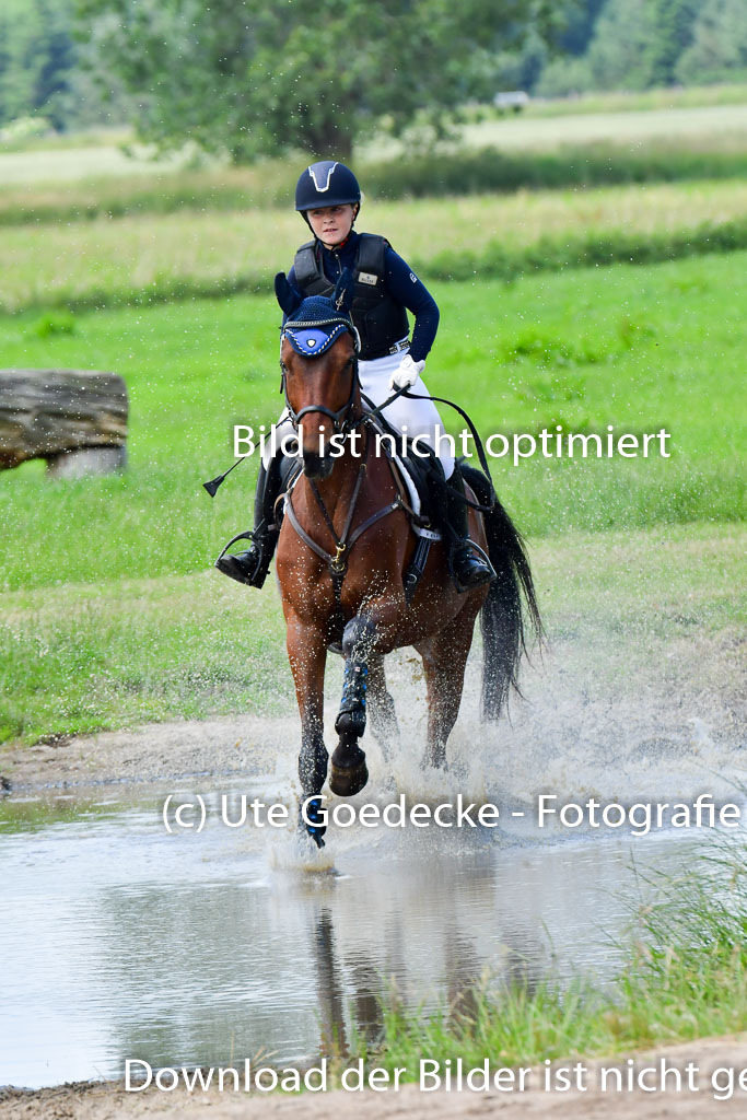 Goldene Schärpe PFerde  in Löningen  11+12.6.22 | 11062022 - Gelände 97 Abt 