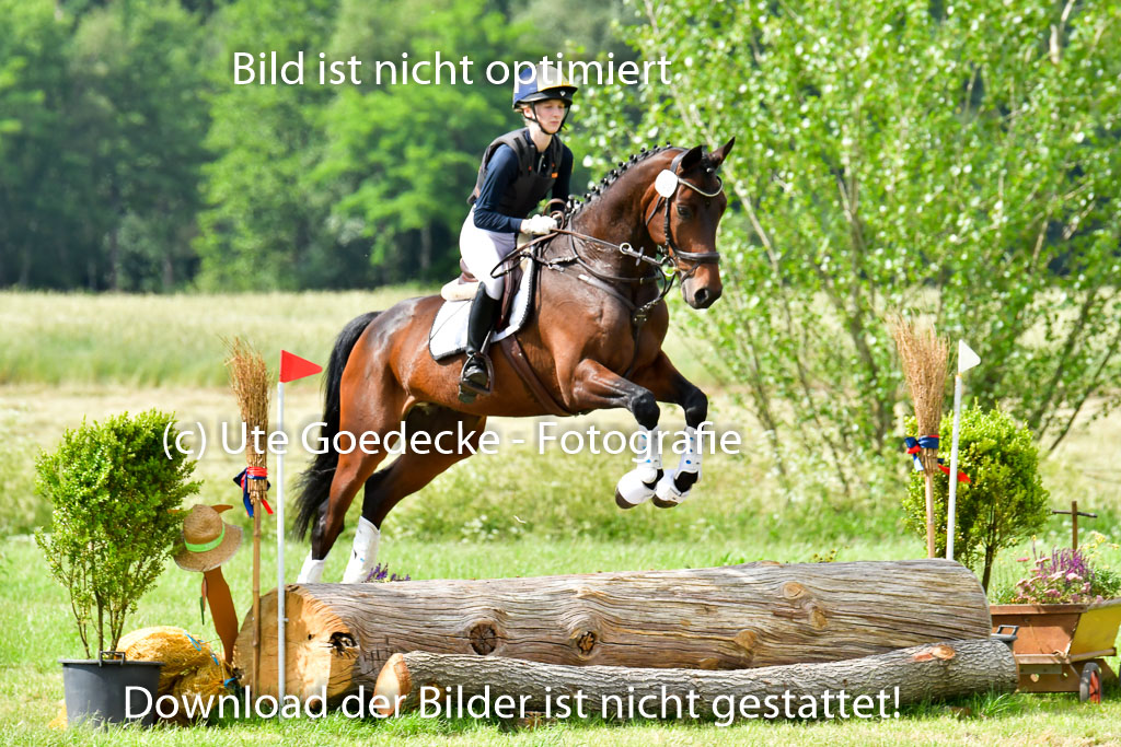 Goldene Schärpe PFerde  in Löningen  11+12.6.22 | 11062022 - Gelände 976 Abt