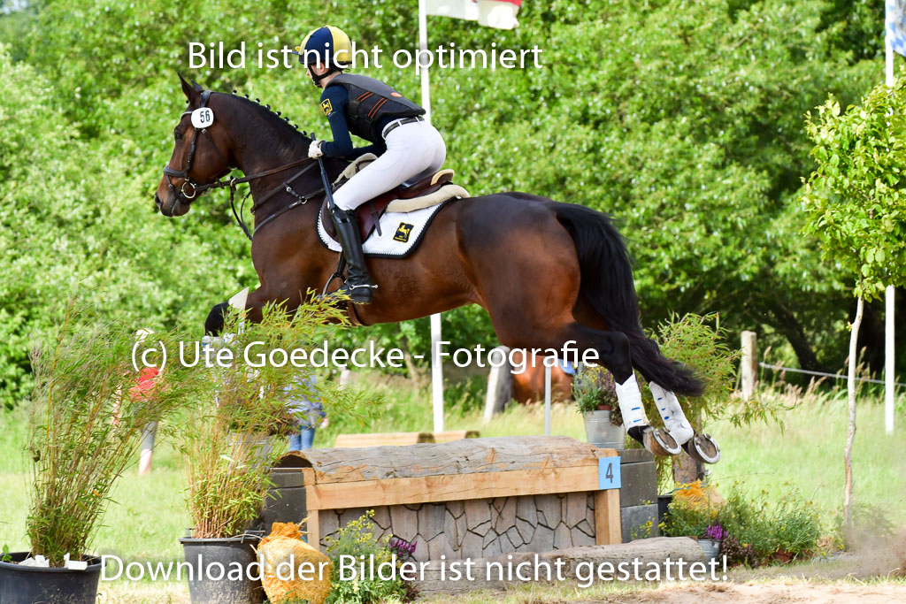 Goldene Schärpe PFerde  in Löningen  11+12.6.22 | 11062022 - Gelände 978 Abt