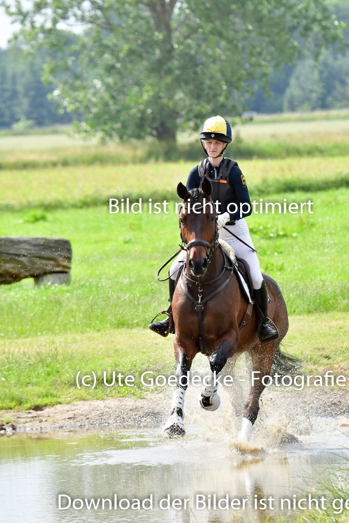 Goldene Schärpe PFerde  in Löningen  11+12.6.22 | 11062022 - Gelände 980 Abt