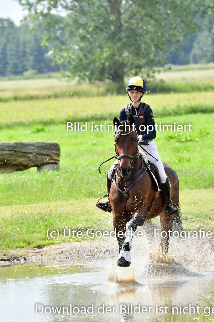 Goldene Schärpe PFerde  in Löningen  11+12.6.22 | 11062022 - Gelände 981 Abt 