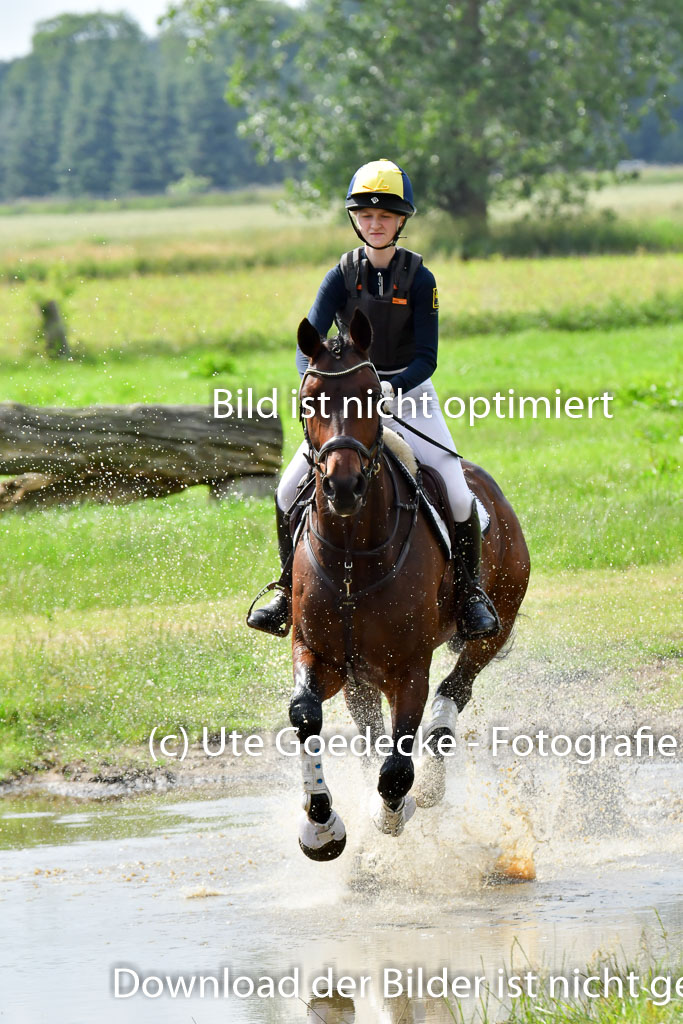 Goldene Schärpe PFerde  in Löningen  11+12.6.22 | 11062022 - Gelände 982 Abt 