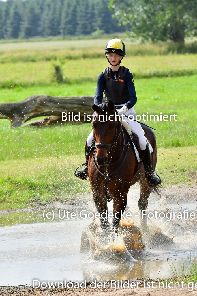Goldene Schärpe PFerde  in Löningen  11+12.6.22 | 11062022 - Gelände 984 Abt
