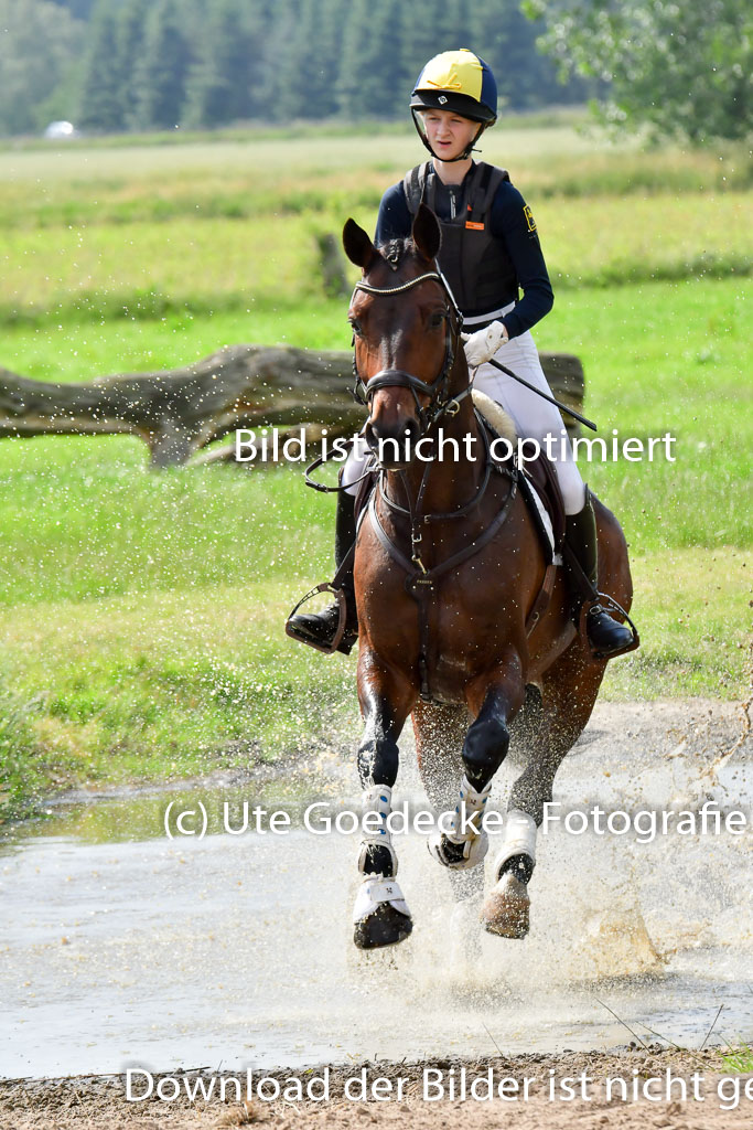Goldene Schärpe PFerde  in Löningen  11+12.6.22 | 11062022 - Gelände 985 Abt
