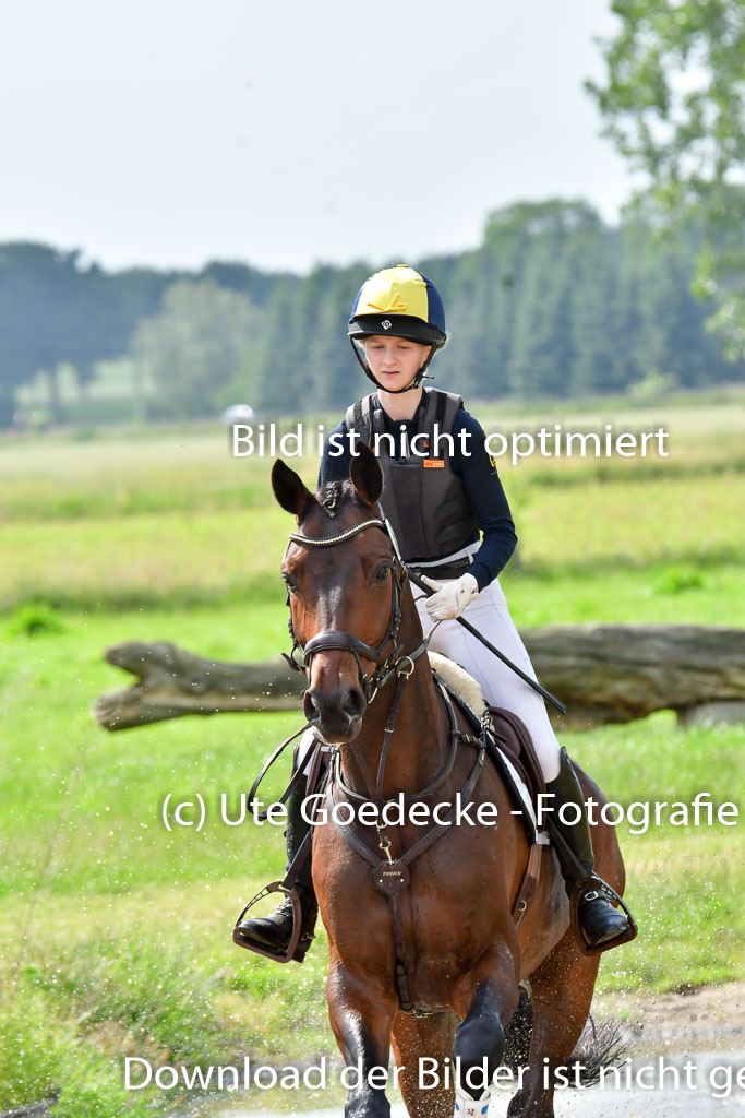 Goldene Schärpe PFerde  in Löningen  11+12.6.22 | 11062022 - Gelände 987 Abt 
