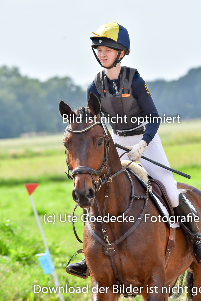 Goldene Schärpe PFerde  in Löningen  11+12.6.22 | 11062022 - Gelände 988 Abt