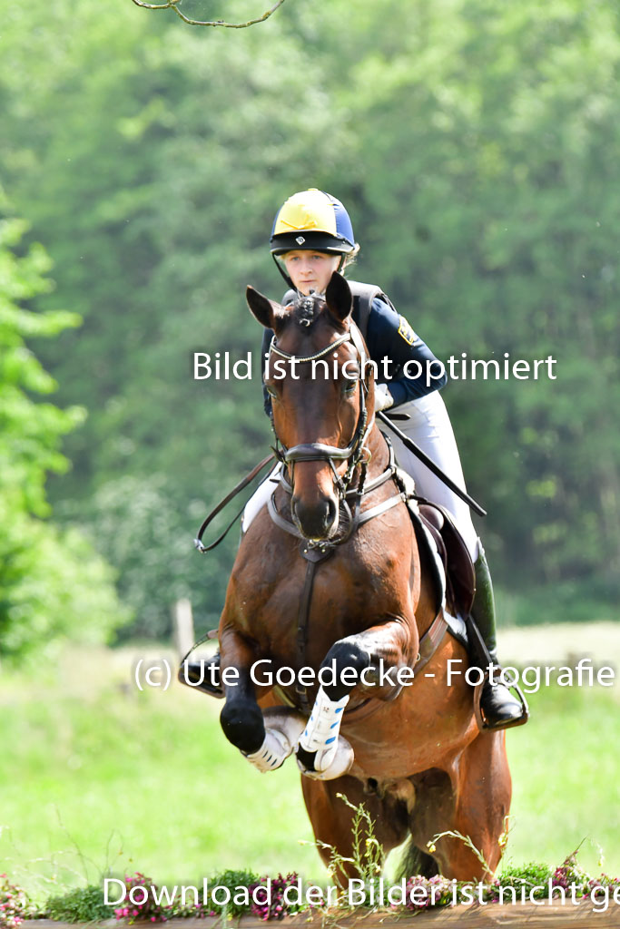 Goldene Schärpe PFerde  in Löningen  11+12.6.22 | 11062022 - Gelände 989 Abt 