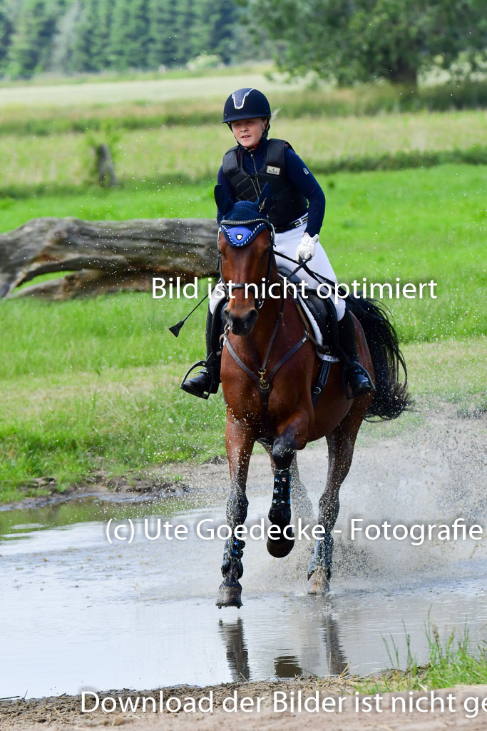 Goldene Schärpe PFerde  in Löningen  11+12.6.22 | 11062022 - Gelände 99 Abt