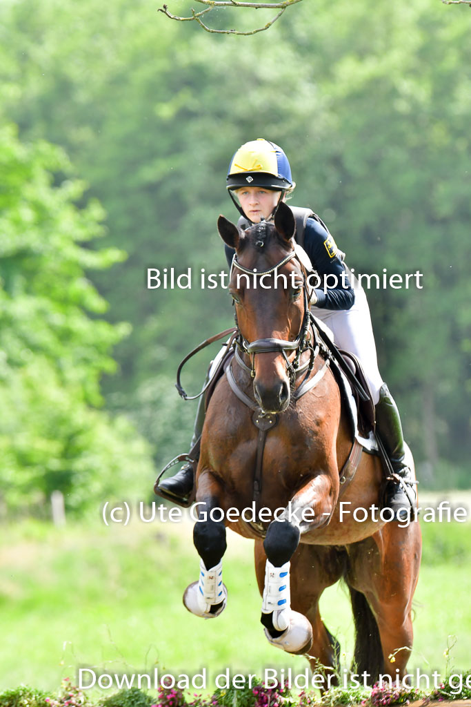 Goldene Schärpe PFerde  in Löningen  11+12.6.22 | 11062022 - Gelände 990 Abt