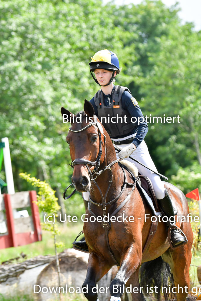 Goldene Schärpe PFerde  in Löningen  11+12.6.22 | 11062022 - Gelände 992 Abt 
