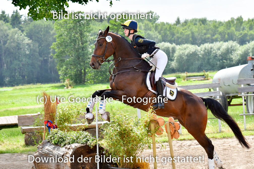 Goldene Schärpe PFerde  in Löningen  11+12.6.22 | 11062022 - Gelände 995 Abt 