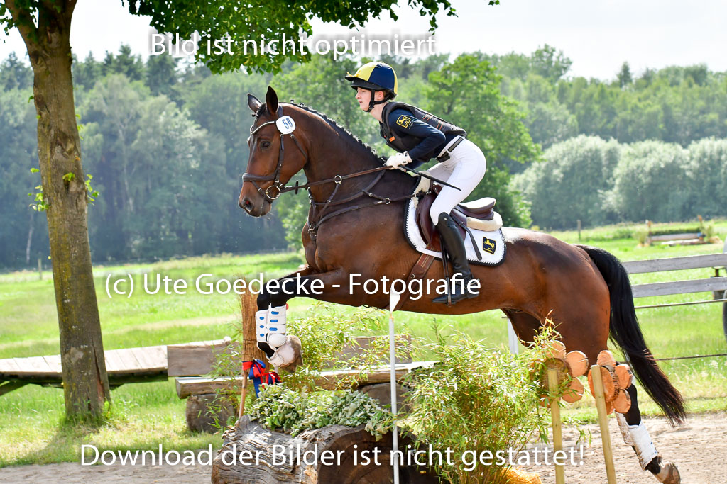 Goldene Schärpe PFerde  in Löningen  11+12.6.22 | 11062022 - Gelände 996 Abt 