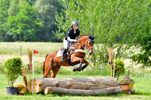 Goldene Schärpe PFerde  in Löningen  11+12.6.22 | 11062022 - Gelände 1000 Abt 