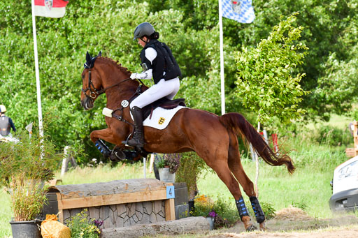 Goldene Schärpe PFerde  in Löningen  11+12.6.22 | 11062022 - Gelände 1001 Abt 