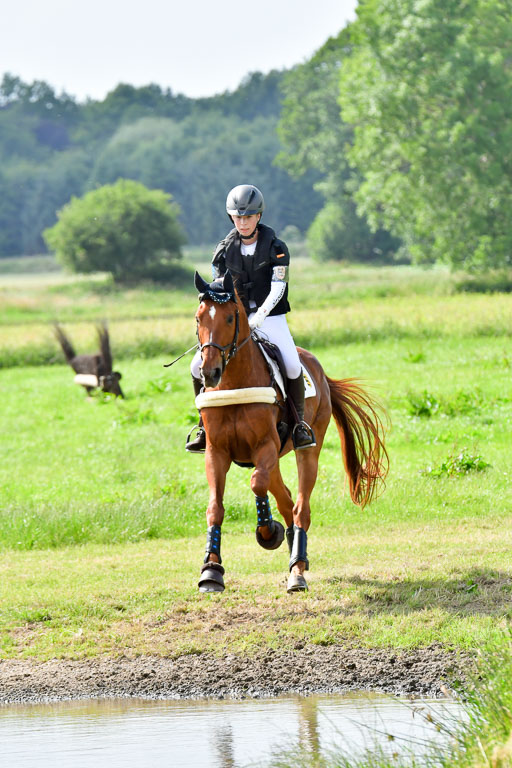 Goldene Schärpe PFerde  in Löningen  11+12.6.22 | 11062022 - Gelände 1002 Abt 