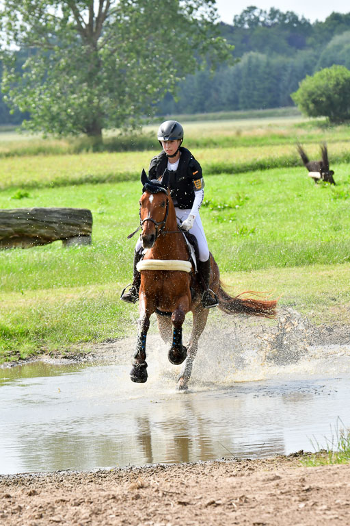 Goldene Schärpe PFerde  in Löningen  11+12.6.22 | 11062022 - Gelände 1004 Abt 