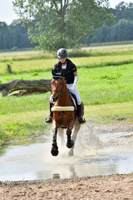 Goldene Schärpe PFerde  in Löningen  11+12.6.22 | 11062022 - Gelände 1006 Abt 