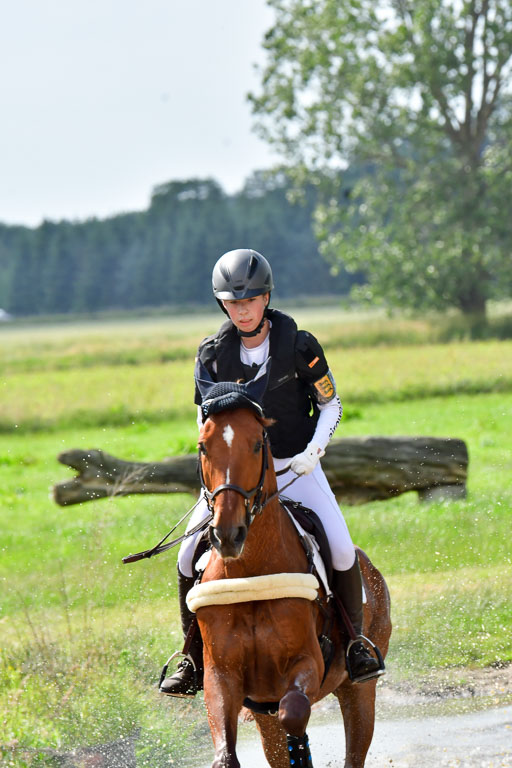 Goldene Schärpe PFerde  in Löningen  11+12.6.22 | 11062022 - Gelände 1008 Abt 