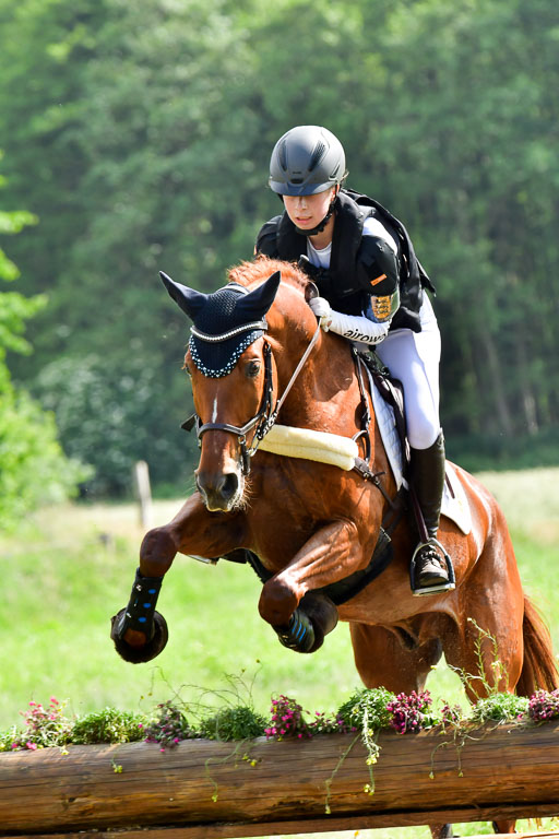 Goldene Schärpe PFerde  in Löningen  11+12.6.22 | 11062022 - Gelände 1011 Abt 