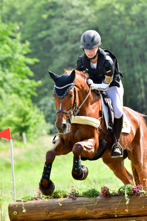 Goldene Schärpe PFerde  in Löningen  11+12.6.22 | 11062022 - Gelände 1012 Abt 