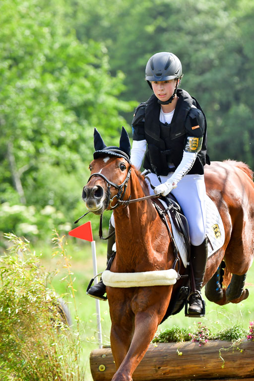 Goldene Schärpe PFerde  in Löningen  11+12.6.22 | 11062022 - Gelände 1013 Abt 