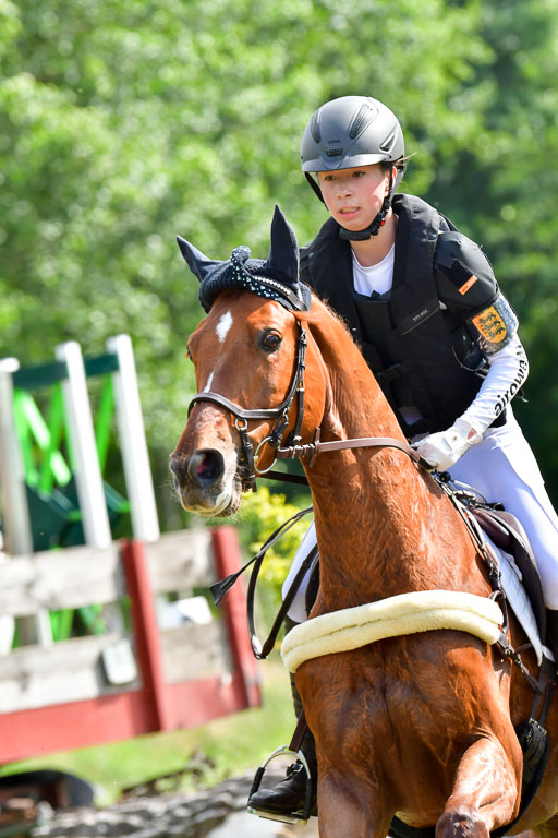 Goldene Schärpe PFerde  in Löningen  11+12.6.22 | 11062022 - Gelände 1014 Abt 