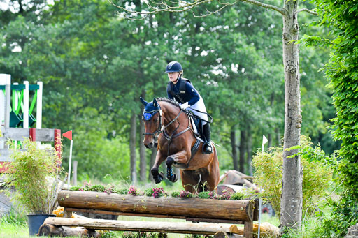 Goldene Schärpe PFerde  in Löningen  11+12.6.22 | 11062022 - Gelände 103 Abt 