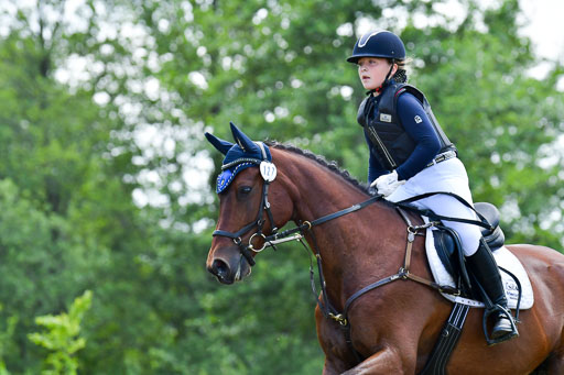 Goldene Schärpe PFerde  in Löningen  11+12.6.22 | 11062022 - Gelände 104 Abt 