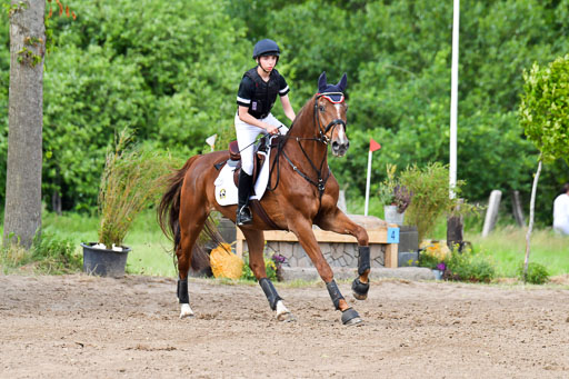 Goldene Schärpe PFerde  in Löningen  11+12.6.22 | 11062022 - Gelände 1042 Abt 