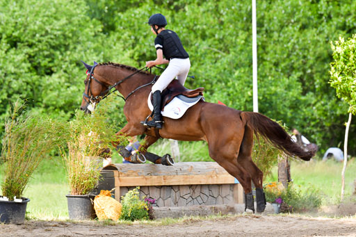 Goldene Schärpe PFerde  in Löningen  11+12.6.22 | 11062022 - Gelände 1045 Abt 