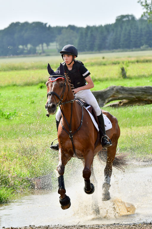 Goldene Schärpe PFerde  in Löningen  11+12.6.22 | 11062022 - Gelände 1051 Abt 