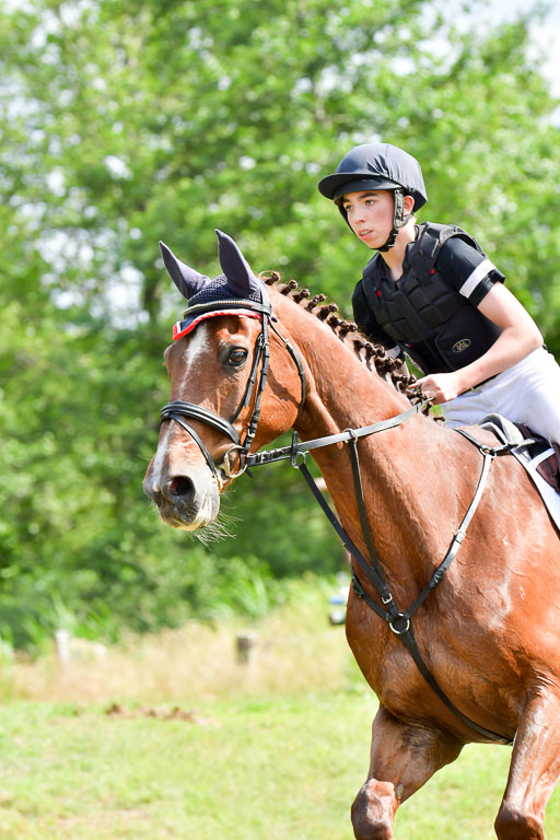 Goldene Schärpe PFerde  in Löningen  11+12.6.22 | 11062022 - Gelände 1059 Abt 