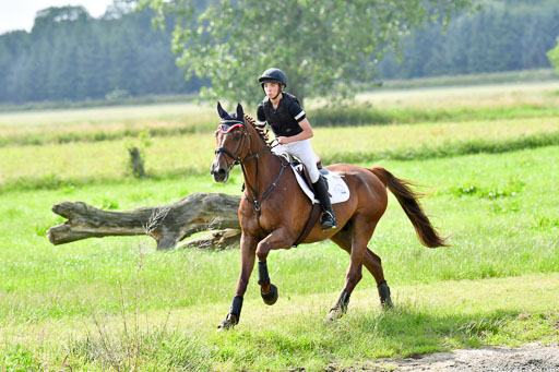 Goldene Schärpe PFerde  in Löningen  11+12.6.22 | 11062022 - Gelände 1060 Abt 