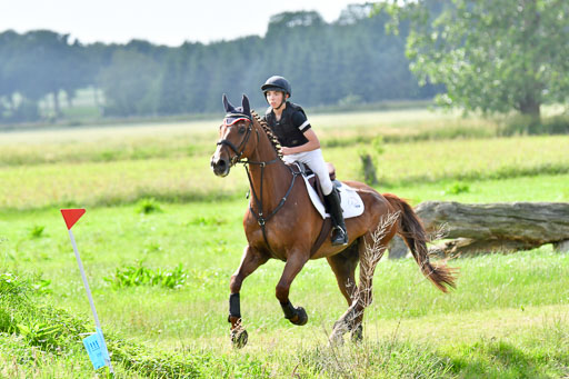 Goldene Schärpe PFerde  in Löningen  11+12.6.22 | 11062022 - Gelände 1061 Abt 
