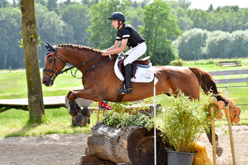 Goldene Schärpe PFerde  in Löningen  11+12.6.22 | 11062022 - Gelände 1064 Abt 