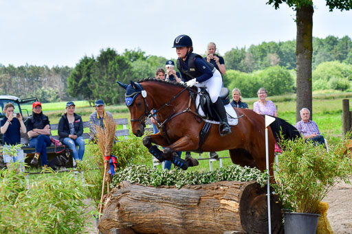 Goldene Schärpe PFerde  in Löningen  11+12.6.22 | 11062022 - Gelände 107 Abt 