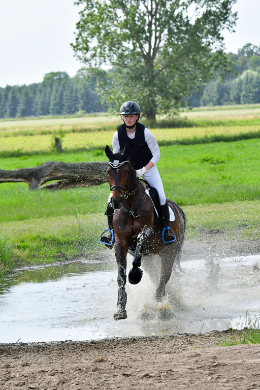Goldene Schärpe PFerde  in Löningen  11+12.6.22 | 11062022 - Gelände 1074 Abt 