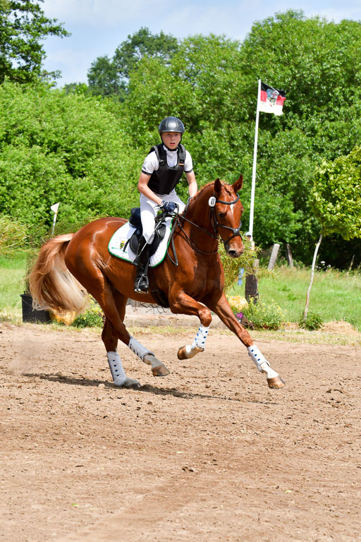 Goldene Schärpe PFerde  in Löningen  11+12.6.22 | 11062022 - Gelände 114 Abt 