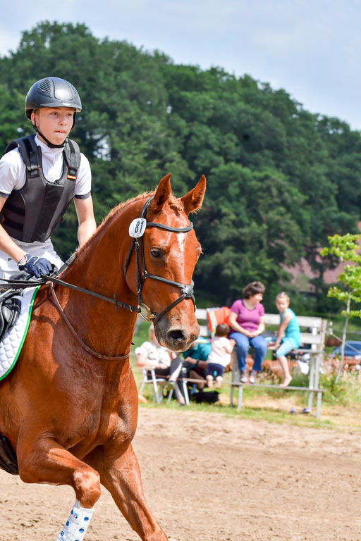 Goldene Schärpe PFerde  in Löningen  11+12.6.22 | 11062022 - Gelände 116 Abt 