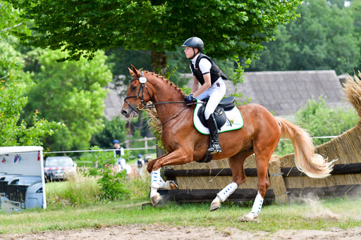 Goldene Schärpe PFerde  in Löningen  11+12.6.22 | 11062022 - Gelände 118 Abt 