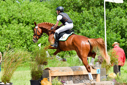 Goldene Schärpe PFerde  in Löningen  11+12.6.22 | 11062022 - Gelände 120 Abt 
