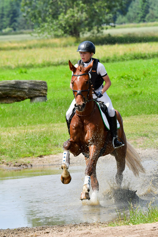 Goldene Schärpe PFerde  in Löningen  11+12.6.22 | 11062022 - Gelände 125 Abt 