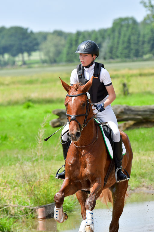 Goldene Schärpe PFerde  in Löningen  11+12.6.22 | 11062022 - Gelände 126 Abt 