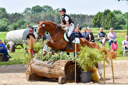 Goldene Schärpe PFerde  in Löningen  11+12.6.22 | 11062022 - Gelände 135 Abt 