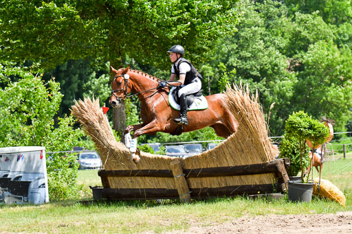 Goldene Schärpe PFerde  in Löningen  11+12.6.22 | 11062022 - Gelände 138 Abt 
