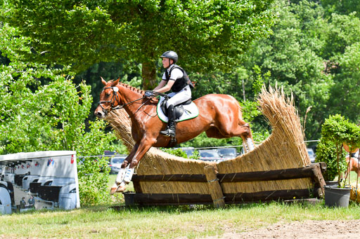 Goldene Schärpe PFerde  in Löningen  11+12.6.22 | 11062022 - Gelände 139 Abt 