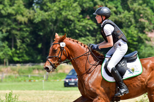 Goldene Schärpe PFerde  in Löningen  11+12.6.22 | 11062022 - Gelände 140 Abt 